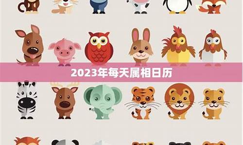 2023年属相运势大解析详解-2023年运程十二生肖运程