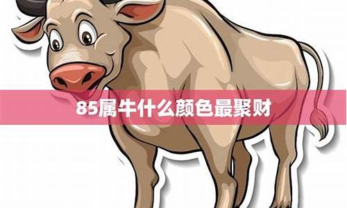 属牛什么颜色旺财运-属牛什么颜色最聚财